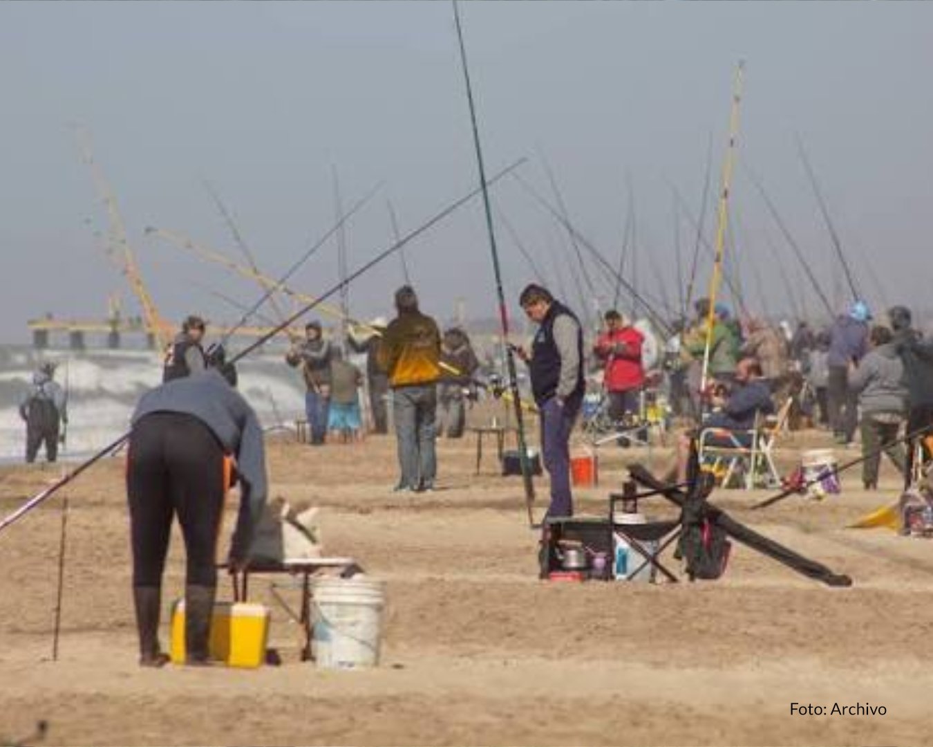 Una brótola de 1,282 kilos convirtió una mañana de pesca en un premio de $25 millones